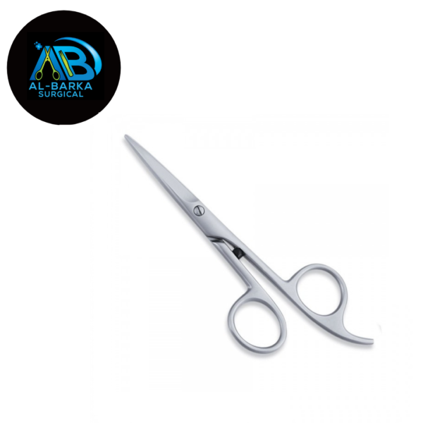 Economic Hair Scissor