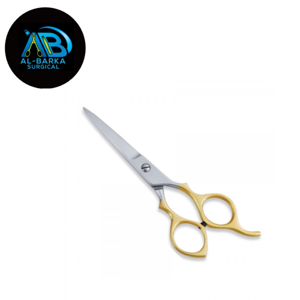 Economic Hair Scissor